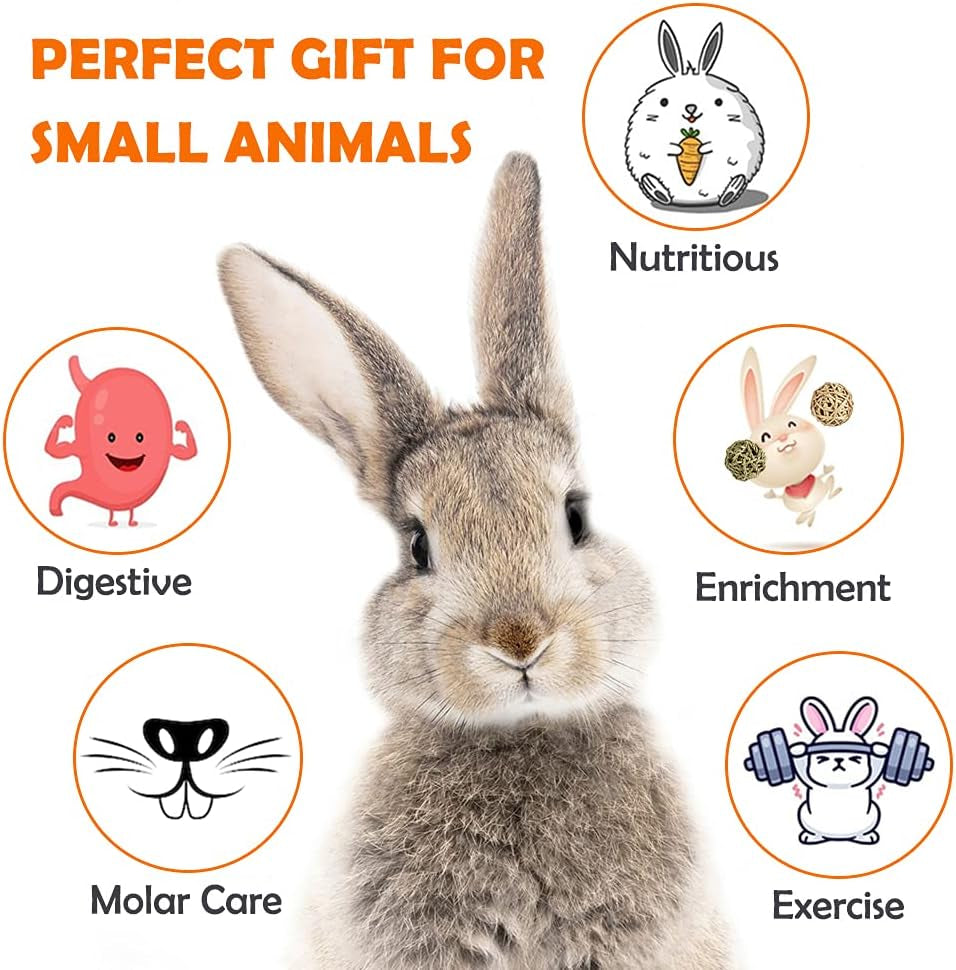 Natural Timothy Hay Chew Toys for Rabbits, Guinea Pigs, Hamsters, and Chinchillas - Handmade Apple Wood Sticks for Healthy Teeth and Fun Treats!