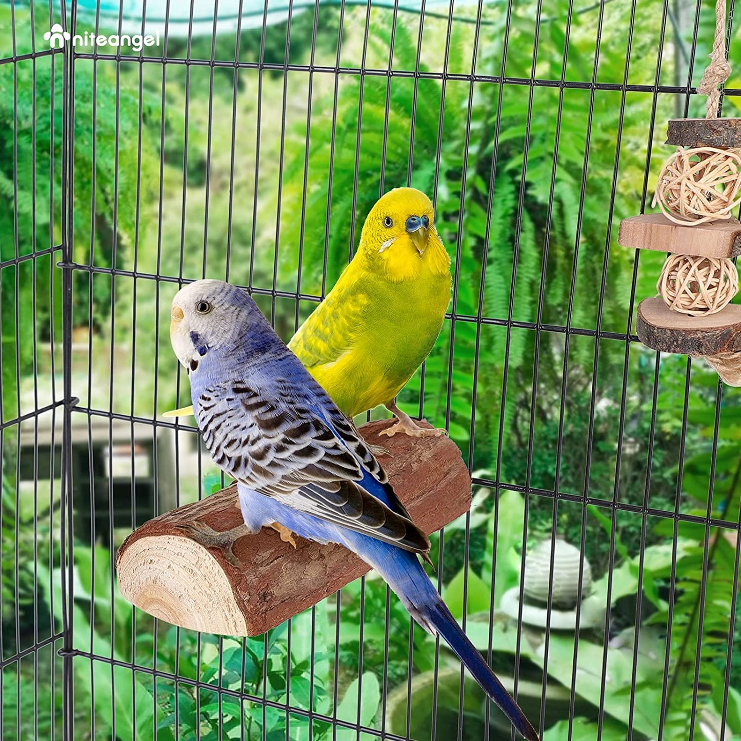 Parrot Cage Perch, Wooden Platform for Birds (1 Pack)