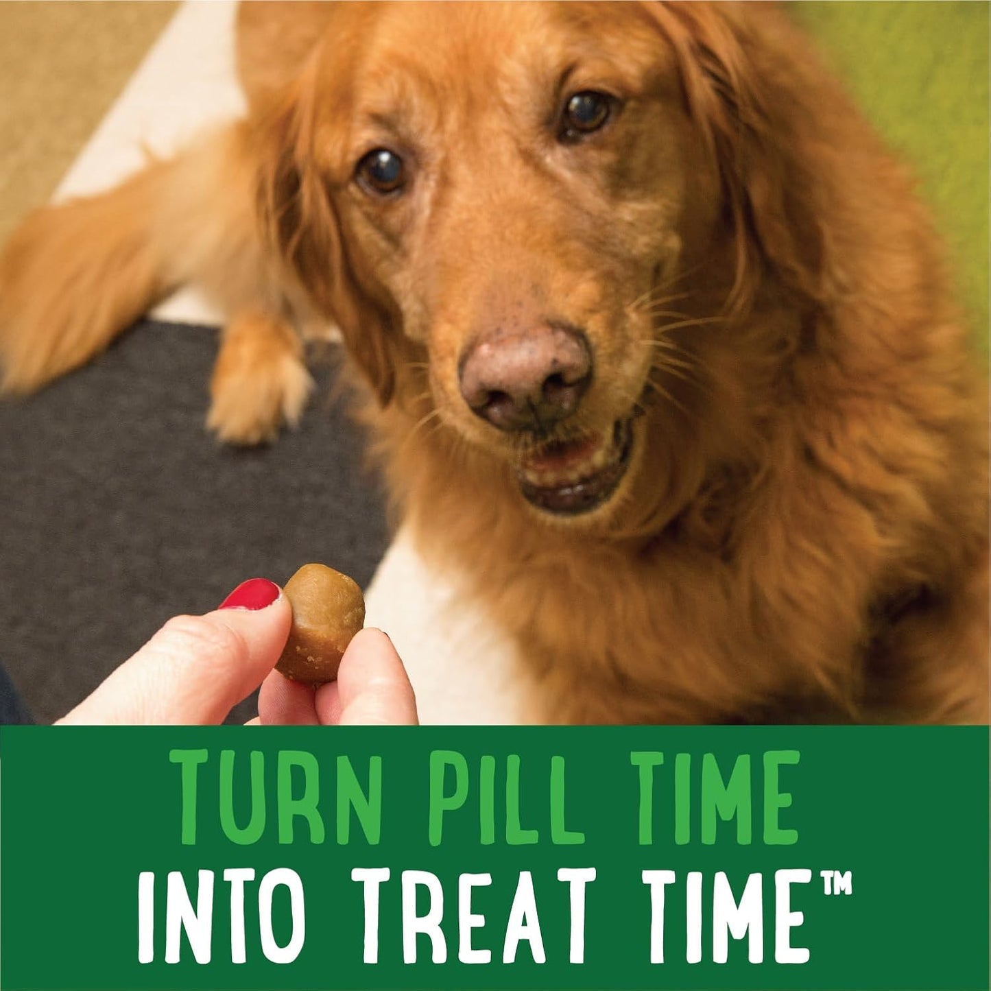 Pill Pockets for Dogs Capsule Size Natural Soft Dog Treats, Hickory Smoke Flavor, 15.8 Oz. Pack (60 Treats)