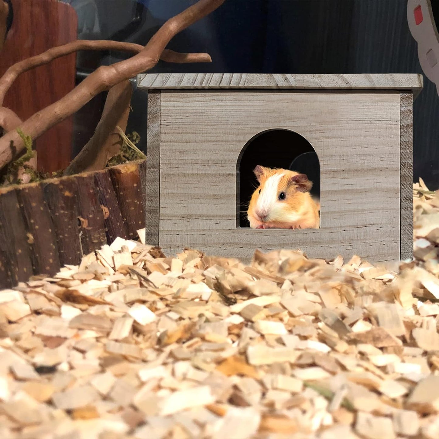 Cozy Wood House for Guinea Pigs & Small Animals - Natural Hut Hideout with Window (Hut Hideout #02)