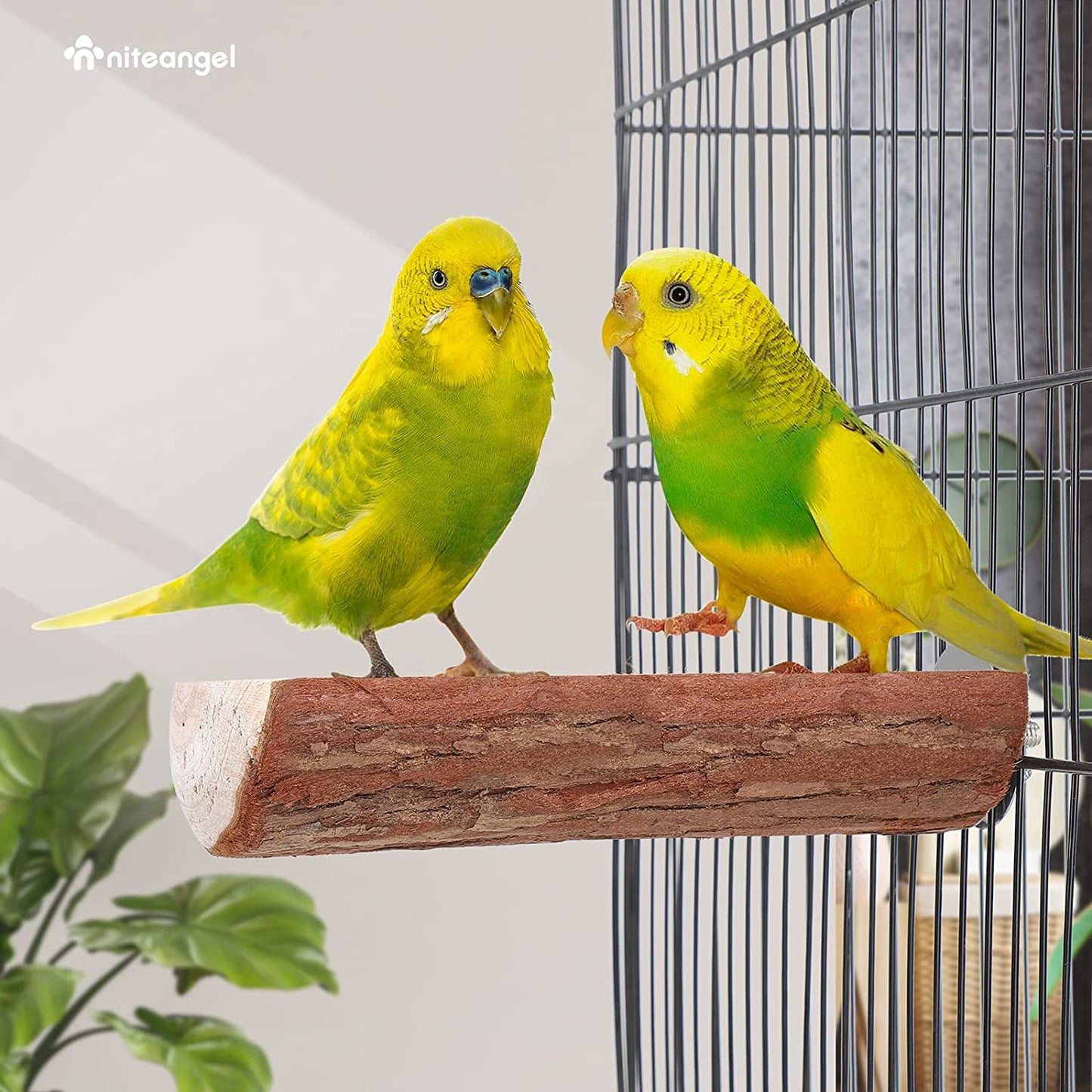Parrot Cage Perch, Wooden Platform for Birds (1 Pack)