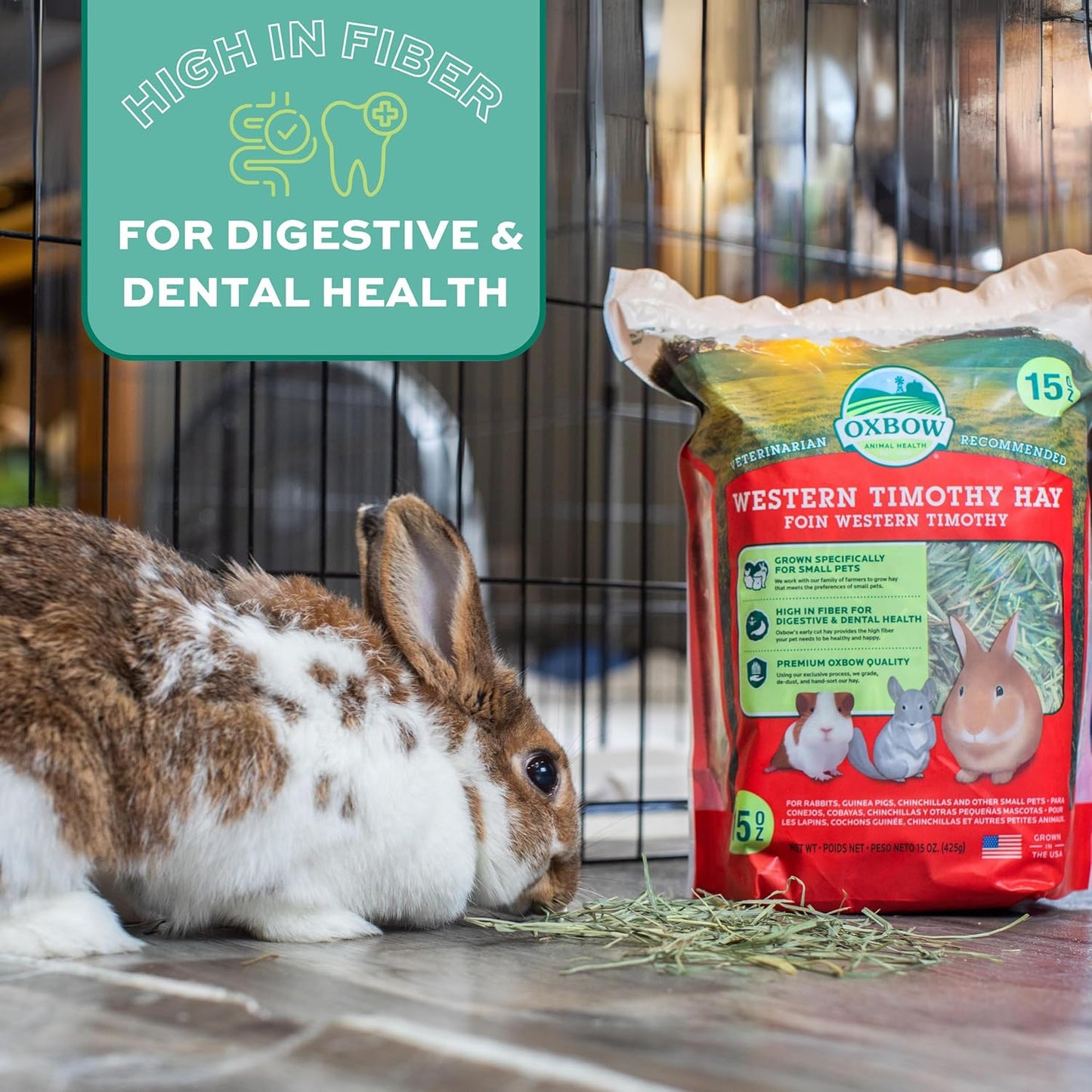 Animal Health Western Timothy Hay - All Natural Hay for Rabbits, Guinea Pigs, Chinchillas, Hamsters & Gerbils - 90 Oz.