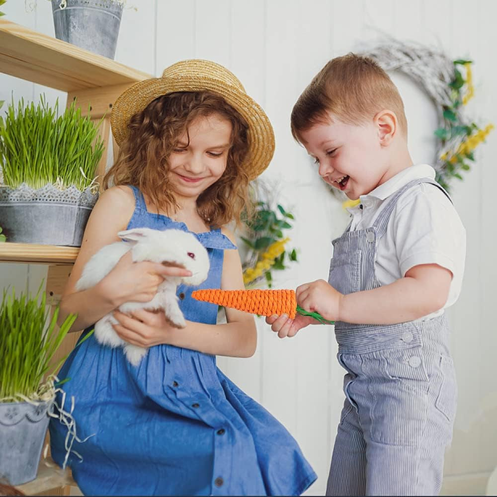 Natural Timothy Hay Chew Toys for Rabbits, Guinea Pigs, Hamsters, and Chinchillas - Handmade Apple Wood Sticks for Healthy Teeth and Fun Treats!