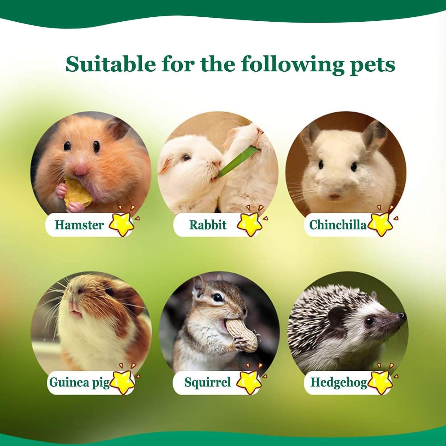 300G Pet Snacks Sweet Bamboo Chew Toy for Squirrel Rabbits Guinea Pigs Chinchilla Hamster (About 10-14 Sticks)