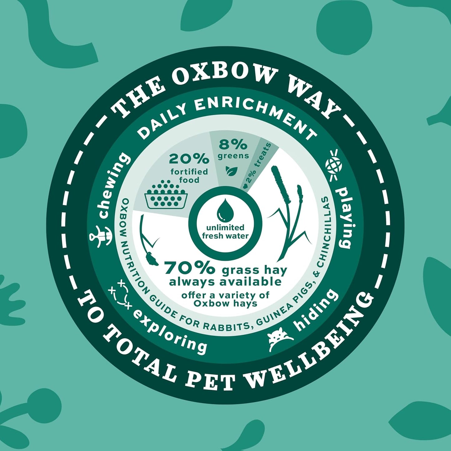 Animal Health Western Timothy Hay - All Natural Hay for Rabbits, Guinea Pigs, Chinchillas, Hamsters & Gerbils - 90 Oz.