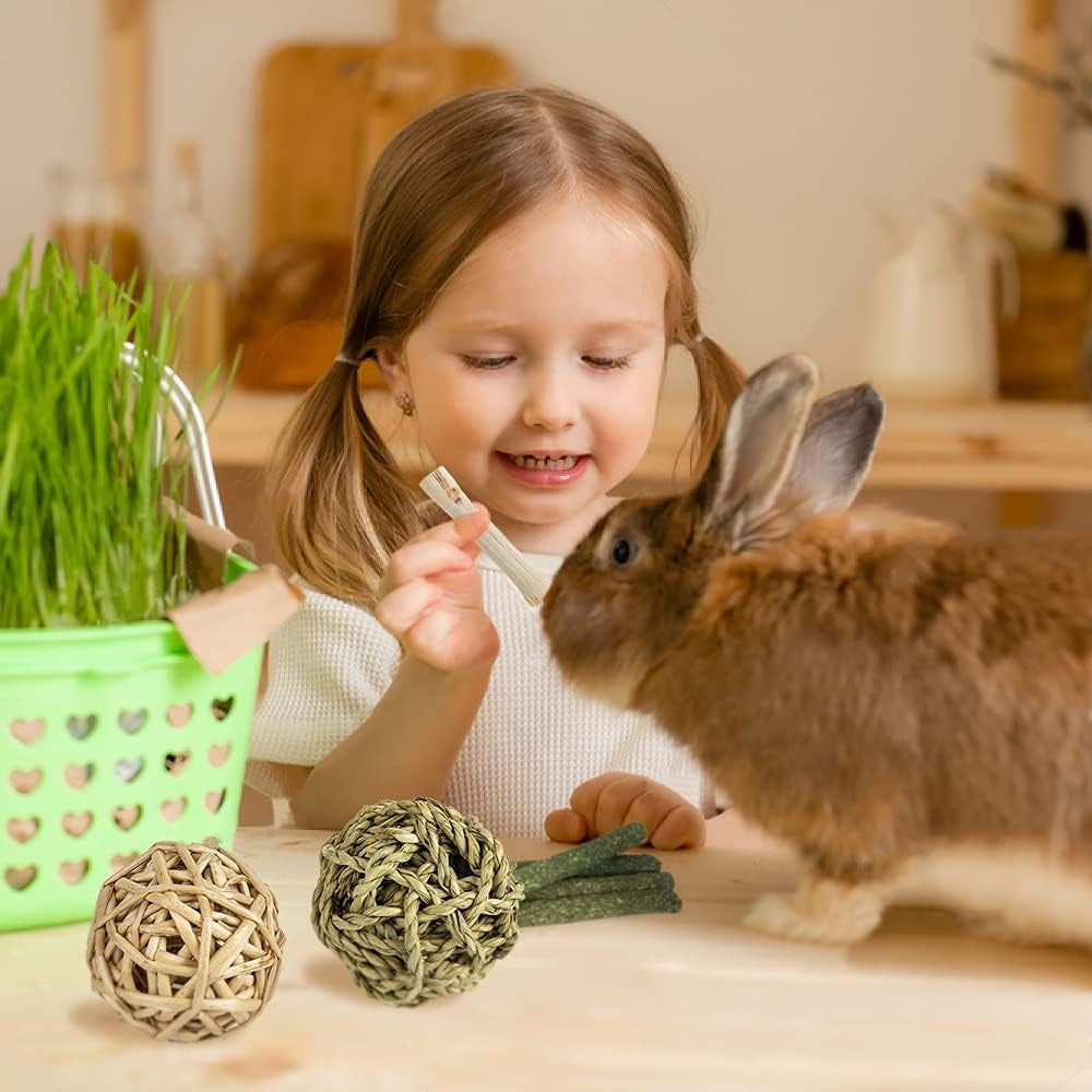 Natural Timothy Hay Chew Toys for Rabbits, Guinea Pigs, Hamsters, and Chinchillas - Handmade Apple Wood Sticks for Healthy Teeth and Fun Treats!