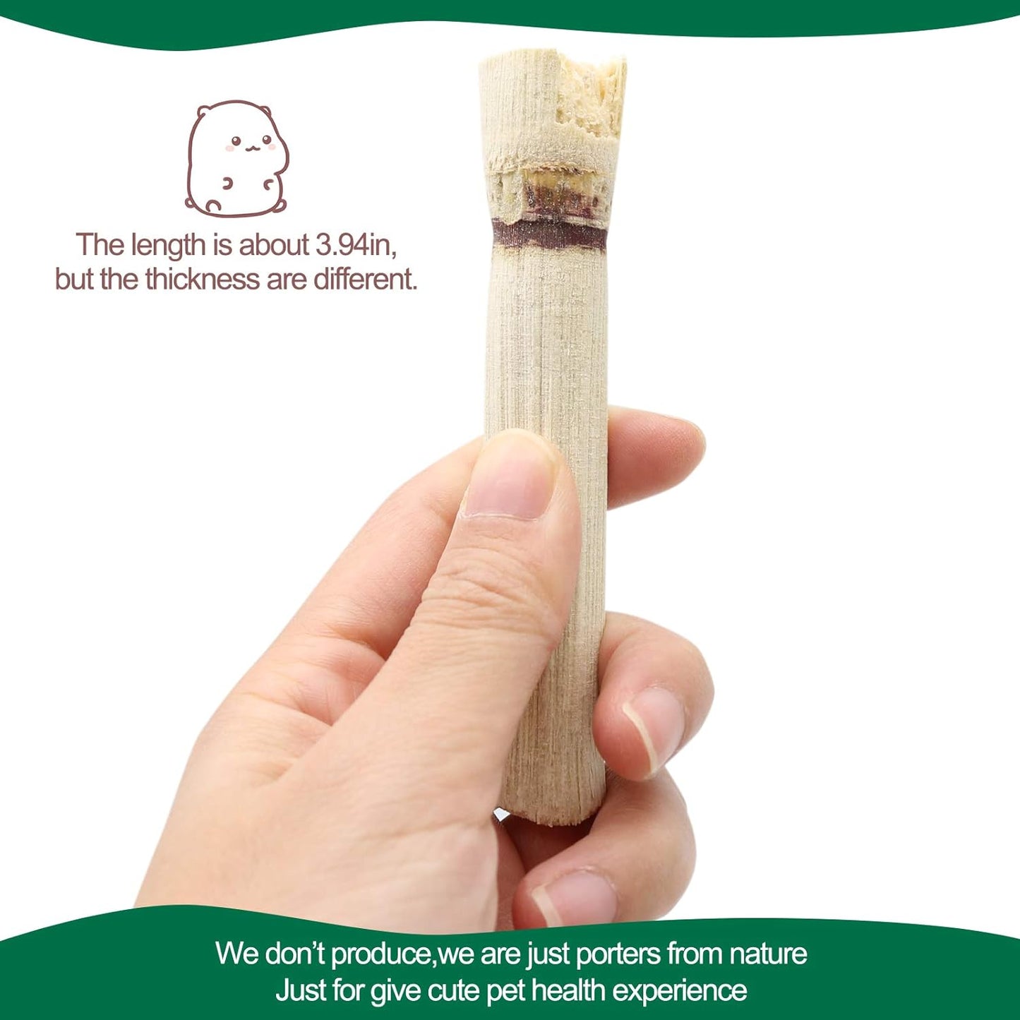 300G Pet Snacks Sweet Bamboo Chew Toy for Squirrel Rabbits Guinea Pigs Chinchilla Hamster (About 10-14 Sticks)