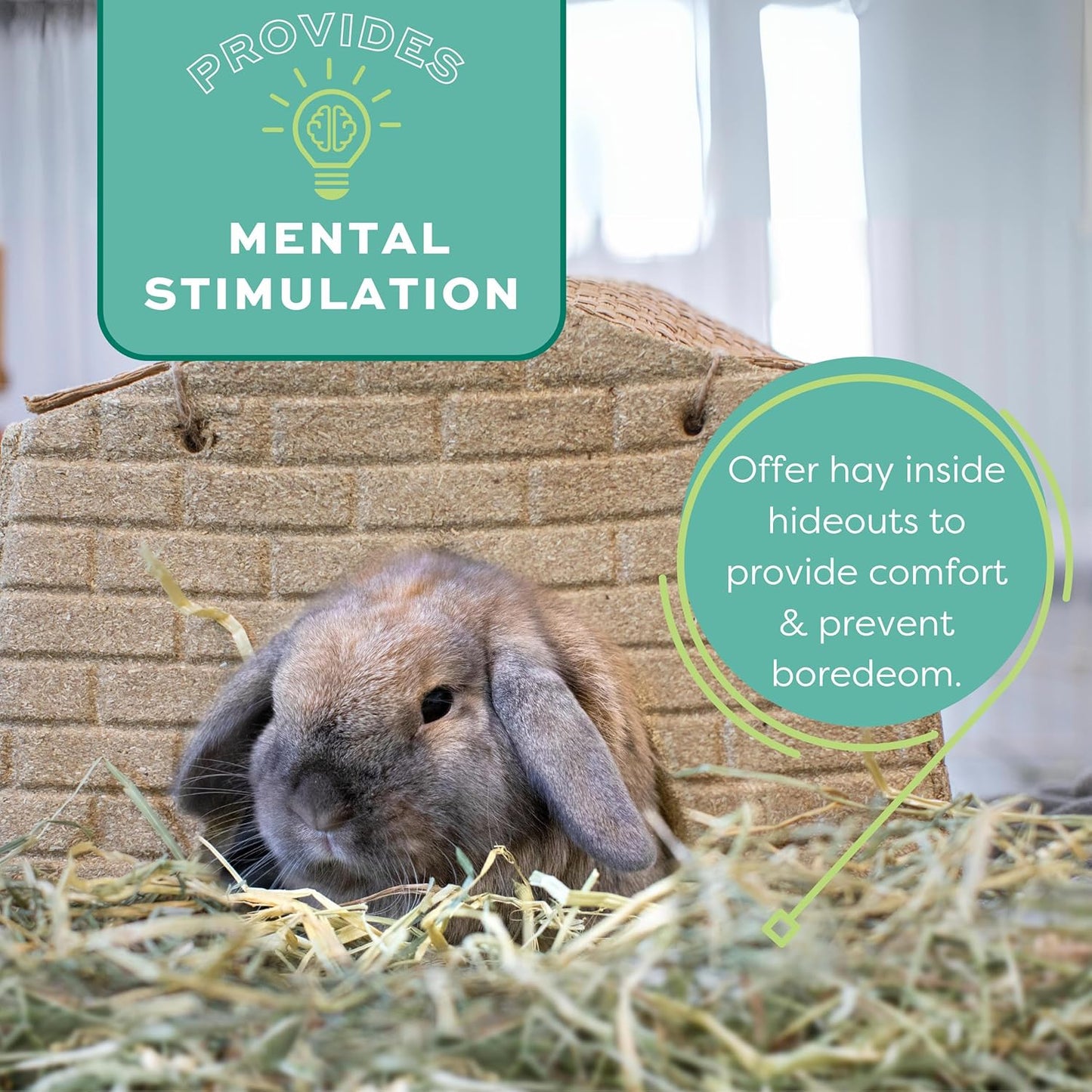 Animal Health Western Timothy Hay - All Natural Hay for Rabbits, Guinea Pigs, Chinchillas, Hamsters & Gerbils - 90 Oz.