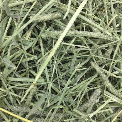 Animal Health Western Timothy Hay - All Natural Hay for Rabbits, Guinea Pigs, Chinchillas, Hamsters & Gerbils - 90 Oz.