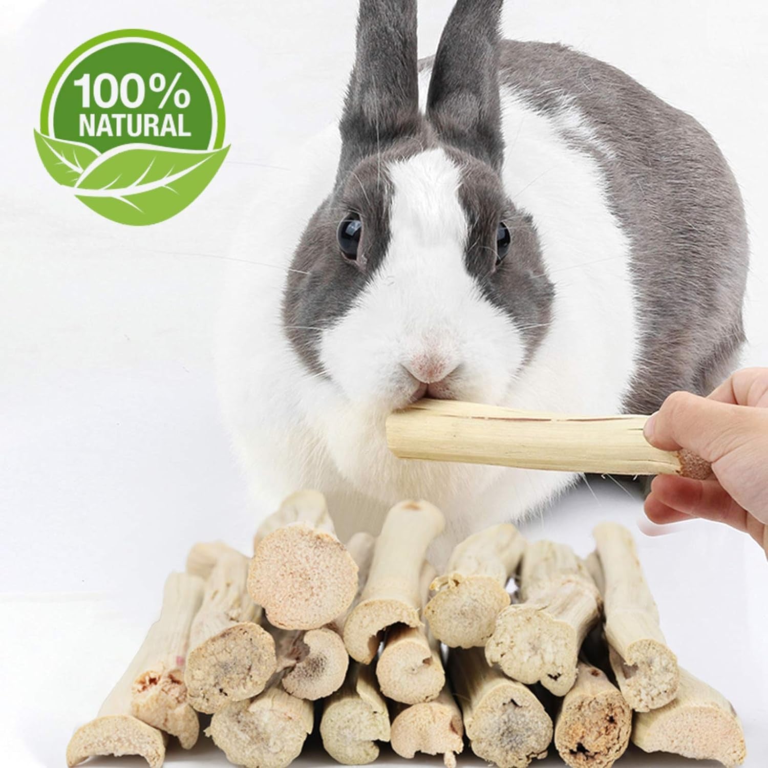 300G Pet Snacks Sweet Bamboo Chew Toy for Squirrel Rabbits Guinea Pigs Chinchilla Hamster (About 10-14 Sticks)