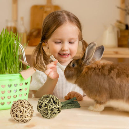 Natural Timothy Hay Chew Toys for Rabbits, Guinea Pigs, Hamsters, and Chinchillas - Handmade Apple Wood Sticks for Healthy Teeth and Fun Treats!