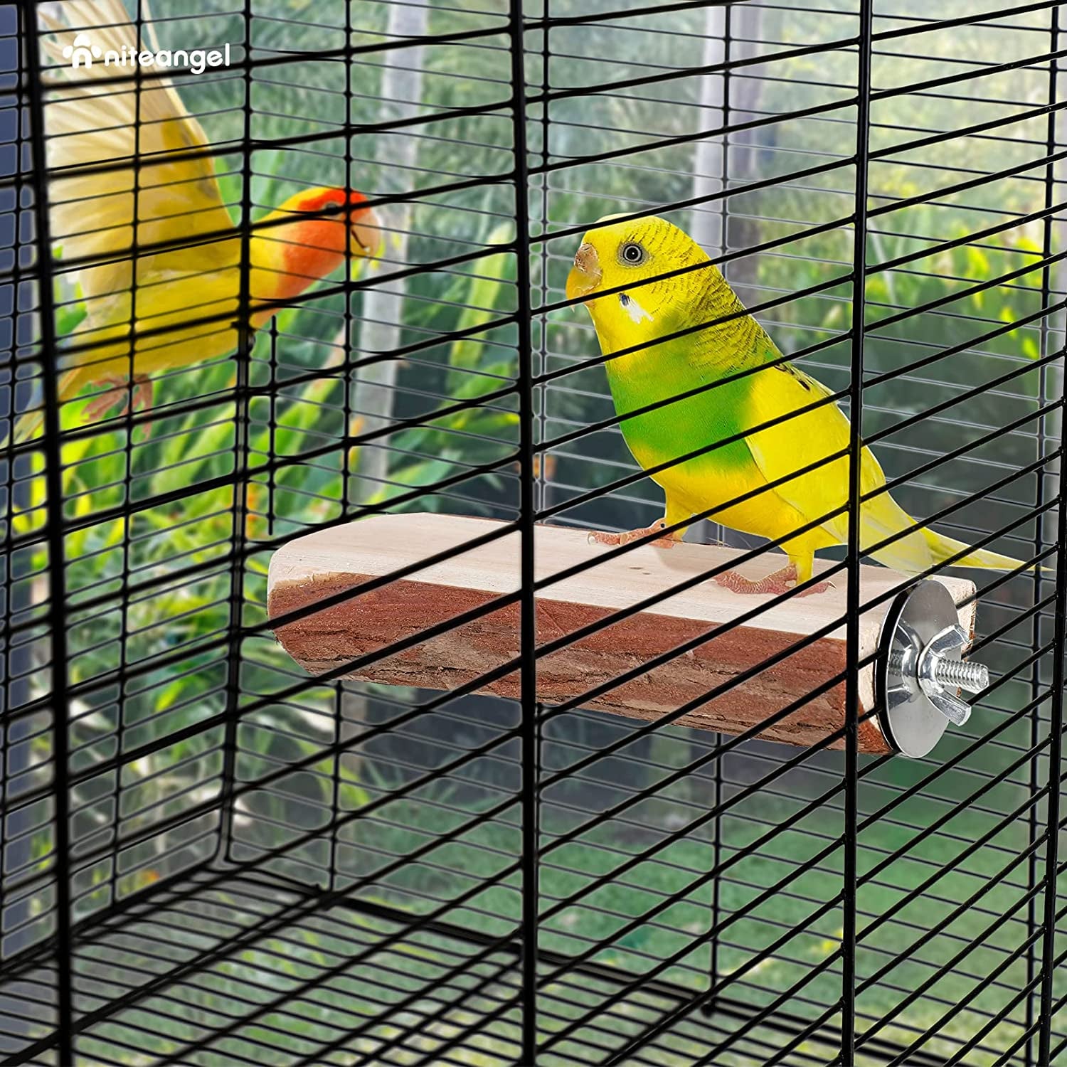 Parrot Cage Perch, Wooden Platform for Birds (1 Pack)
